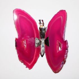 Agaat Vlinder Ingekleurd