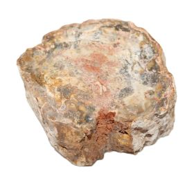 Versteend Hout sokkeltje