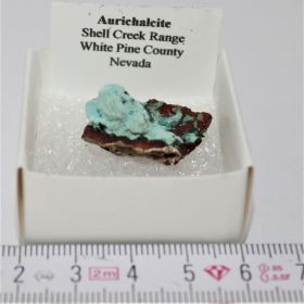 Aurichalcite (calciet) uit Nevada USA