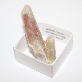 Witches Finger uit Zuid Africa