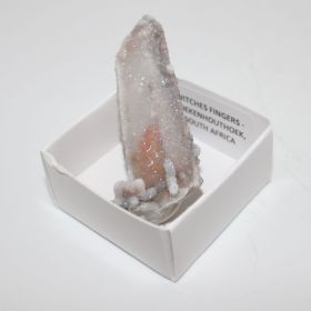 Witches Finger uit Zuid Africa