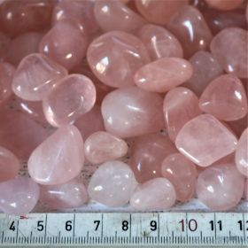 Rozenkwarts per 5 stuks