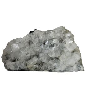 Apofylliet