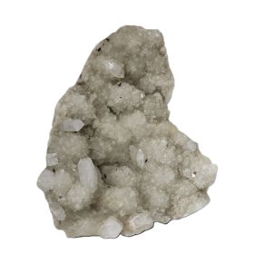 Apofylliet