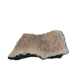 Calciet India