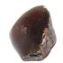 tr0781-5