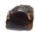 tr0786-5