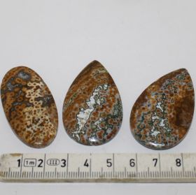 Cabochon van Oceaan Jaspis set van 3
