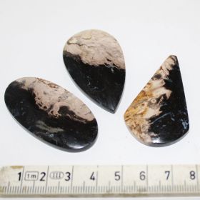 Cabochon van Palmroot Wortel set van 3