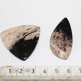 Cabochon van Palmroot Wortel set van 2
