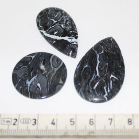 Cabochon van Versteend Palmroot set van 3