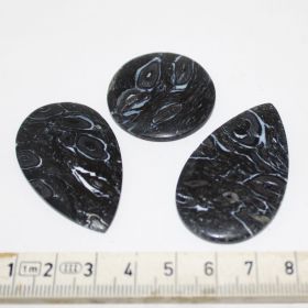 Cabochon van Versteend Palmroot set van 3