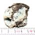 YF0218-5
