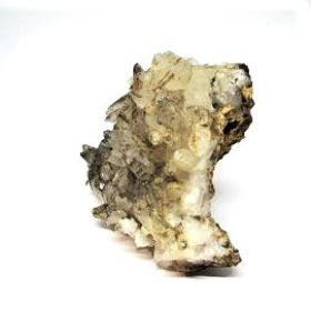 Calciet Dogteeth