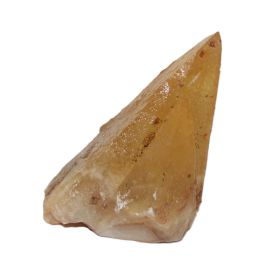 Dogteeth Calciet