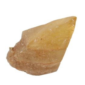 Dogteeth Calciet