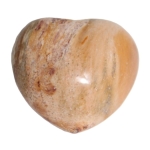 Versteend Hout harten