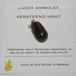 Versteend Hout Lucky Ammulet
