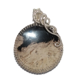 Versteend Hout Sieraden