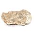 ms0260-5