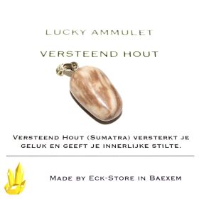 Versteend Hout druppelhanger XXL