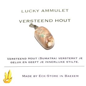 Versteend Hout druppelhanger XXL